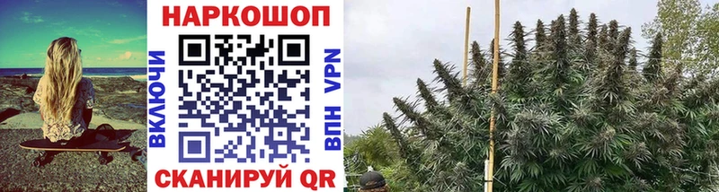 Продажа наркотиков Карабулак Канабис  АМФ  Alpha PVP  Гашиш  ГЕРОИН  Меф 